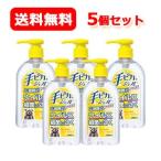 送料無料　5個セット　手ピカジェルプラス 300ml 5セット　指定医薬部外品　健栄製薬