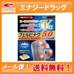 【第2類医薬品】【大石膏盛堂】【送料無料・メール便対応】ビーエスバンFRテープα　42枚入り