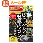 【メール便 送料無料！！】【井藤漢方】しじみの入った牡蠣ウコン+オルニチン 徳用66日分 ＜264粒＞