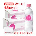 【送料無料・2ケース!48本セット】 オンガネジャパン 九州天然水 シリカシリカ 500ml×48本入 九州産 国産 +ENERGYポケットティッシュ付