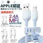 iPhone充電ケーブル 2.4A急速充電 高耐久断線防止 USB-Lightning TypeC-Lightning PD30W対応 iOS対応 iPad対応 Apple MFi認証