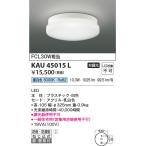 コイズミ照明  KAU45015L  軒下シーリ�
