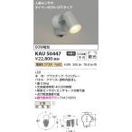コイズミ照明  KAU50447  屋外スポット
