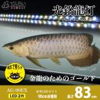 アロワナ ライト 金龍 過背金 90cm水槽用 光鉛龍灯 プレミアムゴールド EX LED 2列 水中 照明 水中蛍光灯 AG90-EX AG-EX 送料無料 でんらい