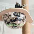キャットタワー 宇宙船 キャットウォーク キャットステップ キャットカプセル 猫用 透明 カプセル型