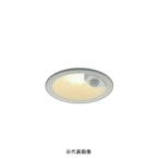 ベースライト、LEDベースライト