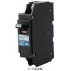 日東工業 NT52XA 2P 30A ノントリップスイッチ 極数2P 定格電流30A