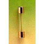 �y�������ŁE���������z5x20mm-10A-250V �~�j�`���A�K���X�ǃq���[�Y�i2�{�Z�b�g)