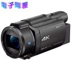 [ упаковка возможно ][ отправка в тот же день ][ новый товар коробка дефект * shrink трещина товар ]SONY Sony цифровая видео камера Handycam FDR-AX60