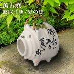 蚊取り豚 白豚 夏の虫 ( 蚊取り線香 インセンス インテリア 雑貨 香立て ブタ 萬古焼 結婚 出産 内祝い 引き出物 金婚式 誕生日プレゼント 還暦祝い )
