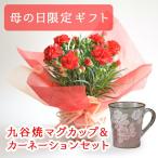 九谷焼 マグカップ&鉢植えセット マグカップ 銀彩山茶花ピンク 色おまかせカーネーション ( カーネーション マグカップ 母の日ギフト 陶器 おすすめ 九谷焼 )