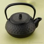 鉄瓶兼用急須 新亀甲 3型 320ml 直火用 茶こし付き ( 岩鋳 あすつく 母の日 プレゼント 初任給 ティーポット お茶 煎茶 日本茶 おすすめ 南部鉄器 結婚 出産 )