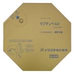 イワブチ セフティベルト SFBT-C10 10mm幅 SUS430 (50m)