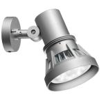 岩崎電気　 レディオック 屋外スポットライト　ESP18002/S　ダークシルバー　100V専用　ランプ別売
