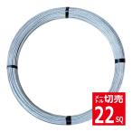 切売 22SQメッセンジャーワイヤー・亜鉛メッキ鋼より線 JIS規格品　神鋼鋼線工業
