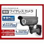 エルパ ELPA 増設用ワイヤレスカメラ CMS-C71 防犯カメラ - 最