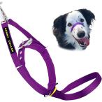 [ параллель импортные товары ] Canny Collar Dog Head Collar No Pull Leash Training Head Harness