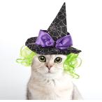 [ параллель импортные товары ] Enjoying Cat Halloween Costume Puppy Witch Hat Cat Wizard Hat Wig D