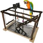 [ параллель импортные товары ] Tfwadmx Parrots Playstand Bird Play Gym Cockatiel Playground Wood P