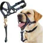 [ параллель импортные товары ] Dog Head Collar No Pull Dog Halter with Soft Padding Durable Ref