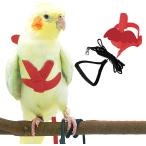 [ параллель импортные товары ] Dnoifne Pet Parrot Bird Harness and Leash Adjustable Training Desi
