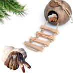 [ параллель импортные товары ] Hermit Crab Coconut Husk Hut with Ladder Durable Cave Habitat with