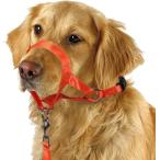 [ параллель импортные товары ] Dog Head Collar No Pull Training Tool for Dogs on Walks Includes
