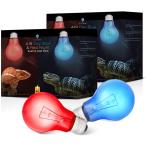 [ параллель импортные товары ] Bluex Bulbs 4 Pack A19 Day Blue &amp; Red Night Reptile Heat Bulb Combo
