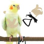 [ параллель импортные товары ] Pet Parrot Bird Harness and Leash Adjustable Training Design Anti-