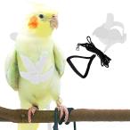 [ параллель импортные товары ] Pet Parrot Bird Harness and Leash Adjustable Training Design Anti-