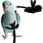 [ параллель импортные товары ] Peony Harness and Leash Adjustable Parrot Bird Training Design Ant