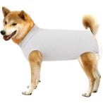 [ параллель импортные товары ] Dotoner Dog Recovery Suit Abdominal Wound Puppy Surgical Clothes Po