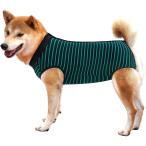 [ параллель импортные товары ] Dotoner Dog Recovery Suit Abdominal Wound Puppy Surgical Clothes Po