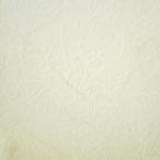 [ предпринимателям стоит посмотреть!]. бумага бумага для перегородки фусума новый птица. . бумага общий рисунок 703l96×203cm 50 шт. комплект l1 листов на 440 иен l бесплатная доставка супер-скидка массовая закупка OK DIY* перепокрытие,замена ошивки тоже!