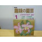  хобби. садоводство Showa 62 год 1 месяц Lee газ * бегония 