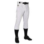  официальный Descente бейсбол Short Fit брюки мужской легкий стрейч долговечность полоса часть . соревнование тренировка Pro принятие результаты DB-6014PB 25SS