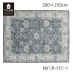 お値下げ!TAUKO タウコ ラシット マット 200×250cm エスニック ラグ 洗える 室内 川島織物セルコン GY6058 【生産終了予定】