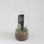 SPICE スパイス LABO GLASS SABOTEN 8S11 8個 | 