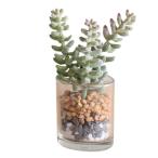 SPICE специя SPICE OF LIFE искусственная зелень Mini gala спот D TADY7160D | сад растения весна лето цветок pot ... казаться зеленый imite-shon