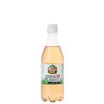 カナダドライ ジンジャーエール ダブル　PET 500ml 入数 24本 1 ケース | 炭酸 コカ・コーラ コカコーラ cocacola こかこーら ジンジャ..