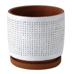 SPICE スパイス SPICE OF LIFE ドットプランター ホワイト Sサイズ CCGF1011WH | ドットプランター 植木鉢 プランター 鉢 ポット フラワーベース