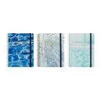 roru балка n dia Lee M 2026 год 3 месяц начало aqua Dell foniksDELFONICS Rollbahn