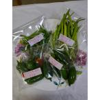 4 вид кулинария . можно использовать ультра . красный острый перец, - lape-nyo,mehi Carna,psa Jewela,p Ricky n каждый 110g ранг всего 450g и больше, включая доставку 