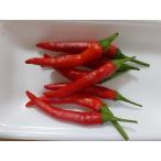  красный острый перец. вид p Ricky n. вид 30 шарик 