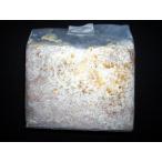  прохладный отправка * oo common take. нить Mothra .3500 мельчайший частица блок 8 штук ввод кейс 