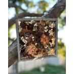 ドライフラワー木の実のフレームボックス　インテリアフラワー　フラワーギフト