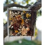 ドライフラワー木の実のフレームボックス　インテリアフラワー　フラワーギフト