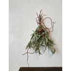  сухой цветок swag интерьер цветок красный zuru. эвкалипт. swag