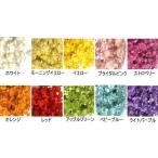  stock equipped Manufacturers lack of middle . attaching order is . hurrying please Star flower Mini dry flower material for flower arrangement all 10 color 