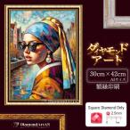 AM-509 ダイヤモンドアート 絵画 ダイヤモンド刺繍 キット  ビーズ アート